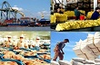 Lưu ý gì khi xuất khẩu sang Ấn Độ, Indonesia, Nhật Bản? 